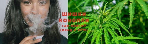 ECSTASY Осинники
