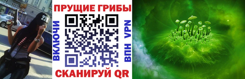 Псилоцибиновые грибы Cubensis  сколько стоит  блэк спрут рабочий сайт  Костомукша 