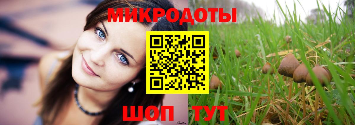 Костомукша  Галлюциногенные грибы прущие грибы  Псилоцибиновые грибы Psilocybine cubensis  Вход с VPN 