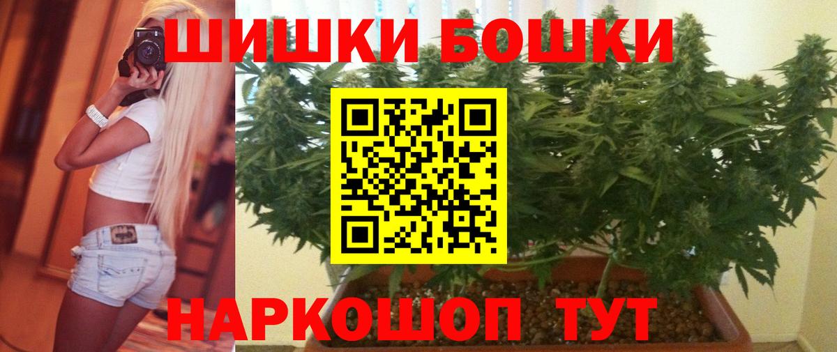 Бошки Шишки план Костомукша